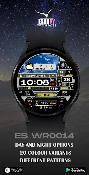 ES WR0014 screenshot 3