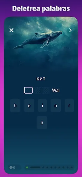 OkyDoky - Cursos de Idiomas screenshot 7