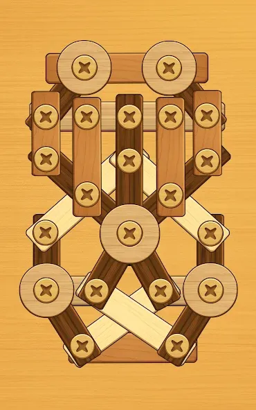 Screw Puzzle: Wood Nut & Bolt™ screenshot 22