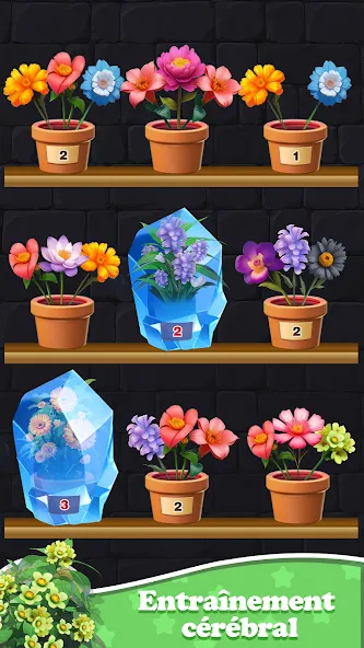 Tri Fleurs 3D : Floraison screenshot 5