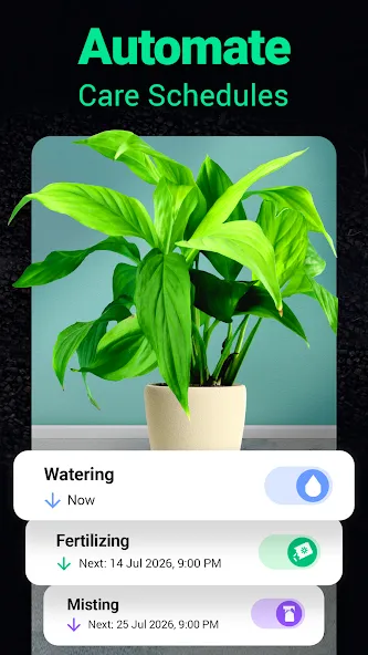 Plantum - Plant Identifier screenshot 27