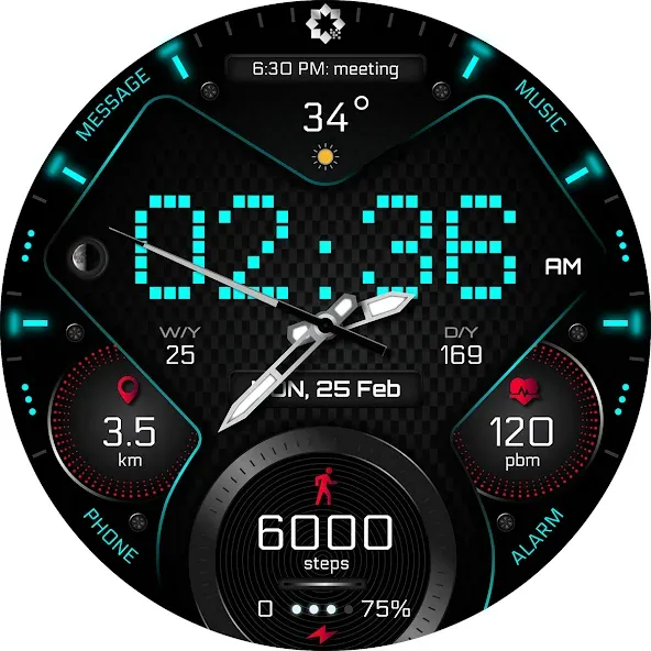 H355 Pixels Watch Face YOSASH screenshot 27