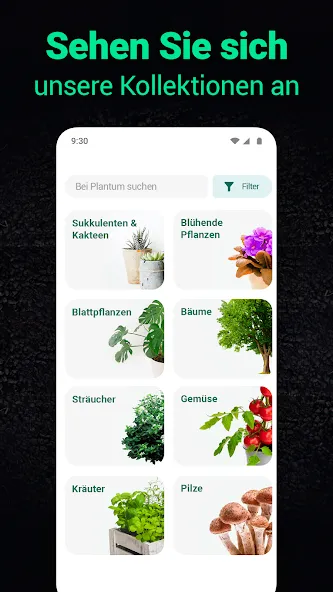 Plantum - Pflanzen bestimmen screenshot 6
