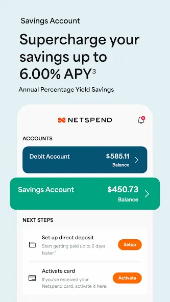Netspend screenshot 4