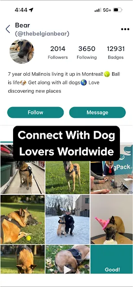 DogPack: Dog Friendly Spots screenshot 16