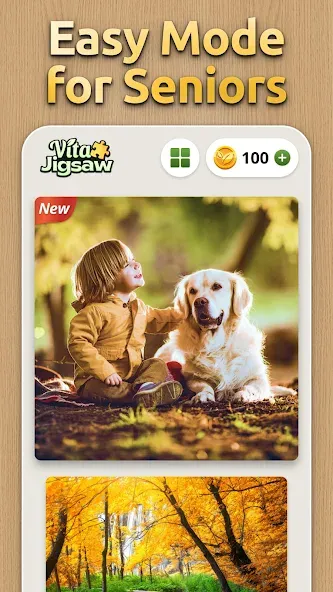 Vita Jigsaw for Seniors screenshot 7