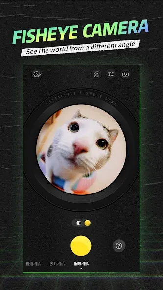 SelfieCity screenshot 3