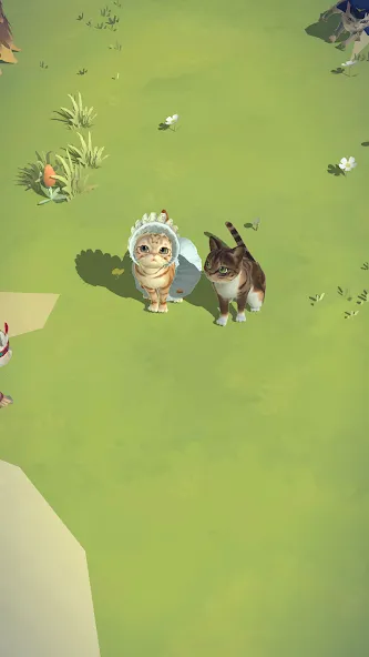 Kitty Cat Resort screenshot 8