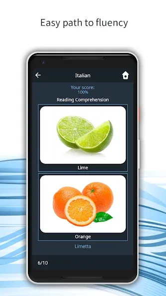 Learn 163 Languages | Bluebird screenshot 3