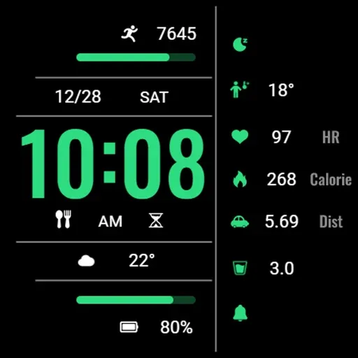 Practical Dark Green ZkinWatch screenshot 36