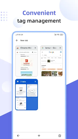 狐猴浏览器-支持浏览器扩展插件&油猴脚本的浏览器 screenshot 5