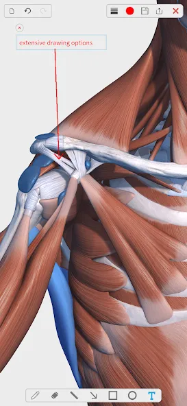 Visual Anatomy 3D - Human body screenshot 5