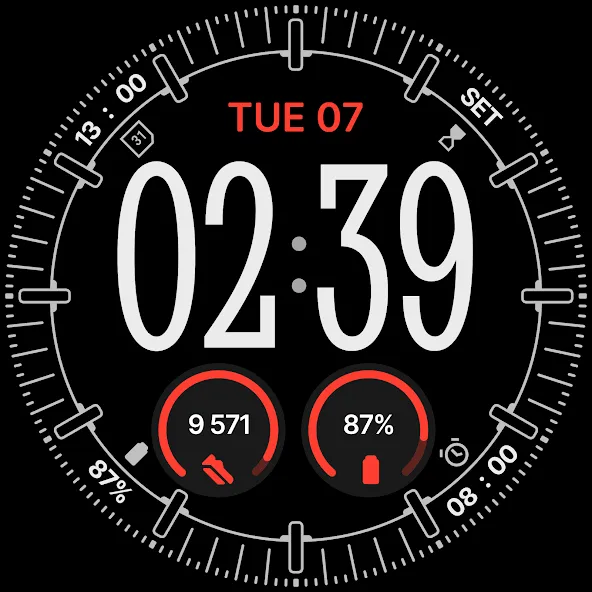 Omnis Digital Watch Face screenshot 33