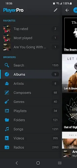 PlayerPro Music Player screenshot 4