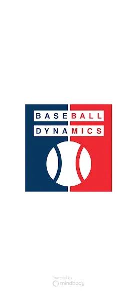 Baseball Dynamics Inc screenshot 1