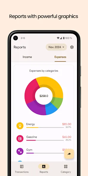 Finance Pro: Expense control screenshot 3