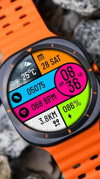 POLO Watch Face screenshot 3
