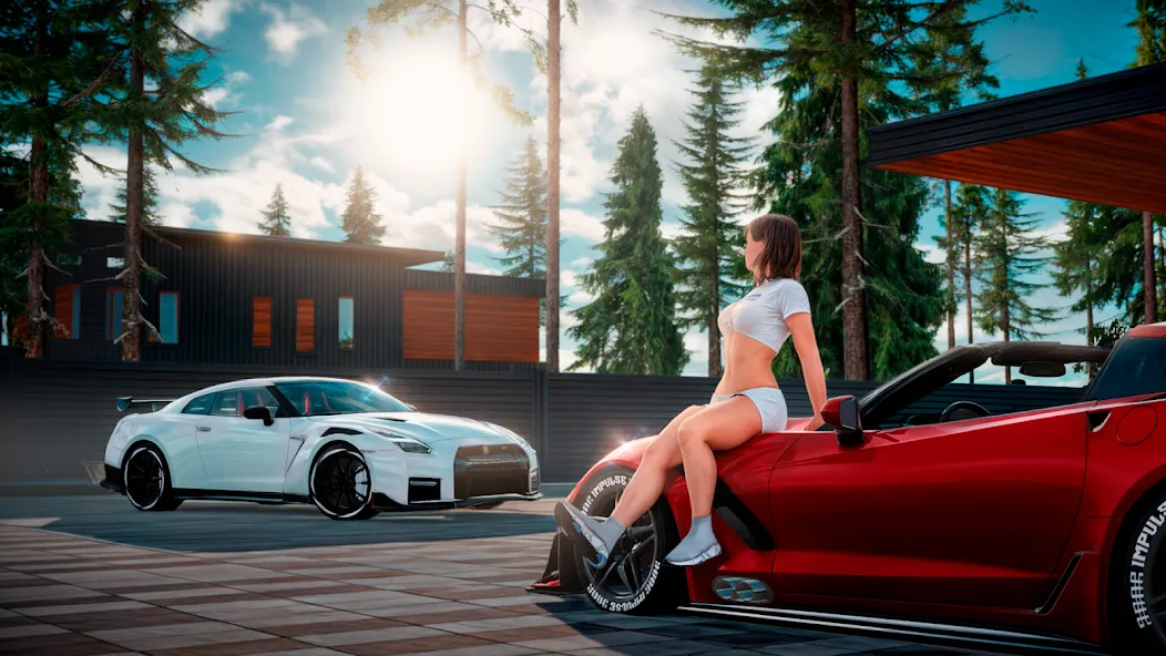 Drive Zone: Car Simulator Game screenshot 6