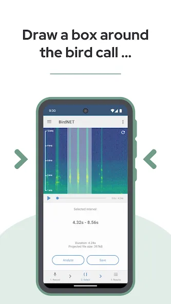 BirdNET screenshot 4