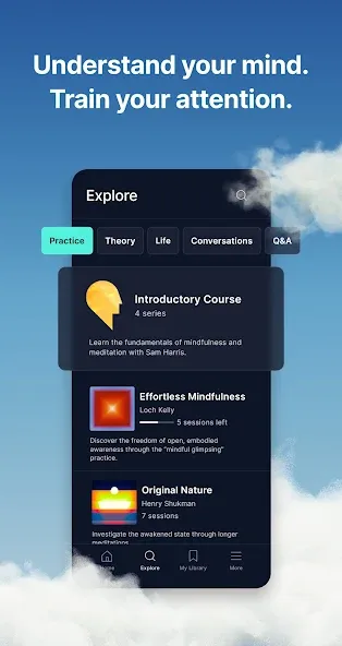 Waking Up: Meditation & Wisdom screenshot 5