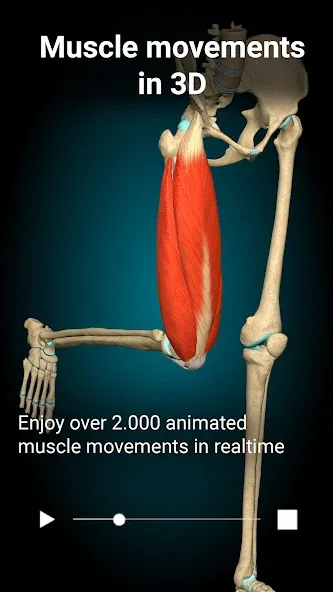 Anatomy Learning - 3D Anatomy screenshot 2