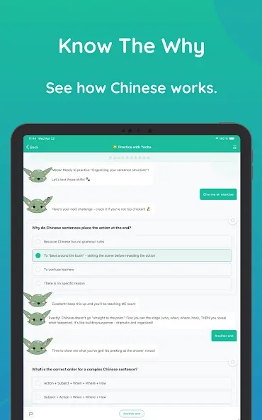 Learn Chinese Grammar - Yocha screenshot 20