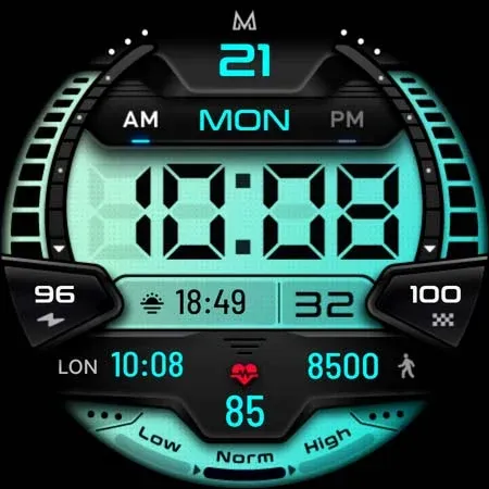 MD244 LCD Digital watch face screenshot 12