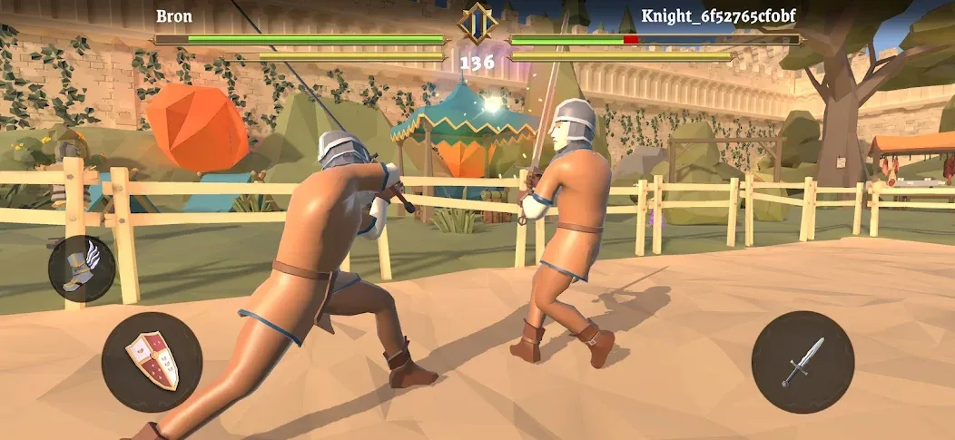 Sword Fight: Knight Arena Pro screenshot 6