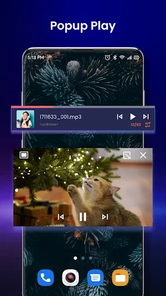 Video player screenshot 2