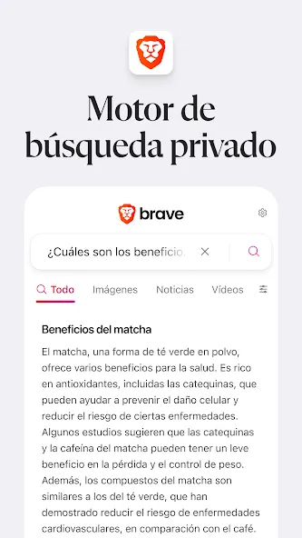 Navegador web privado Brave screenshot 7