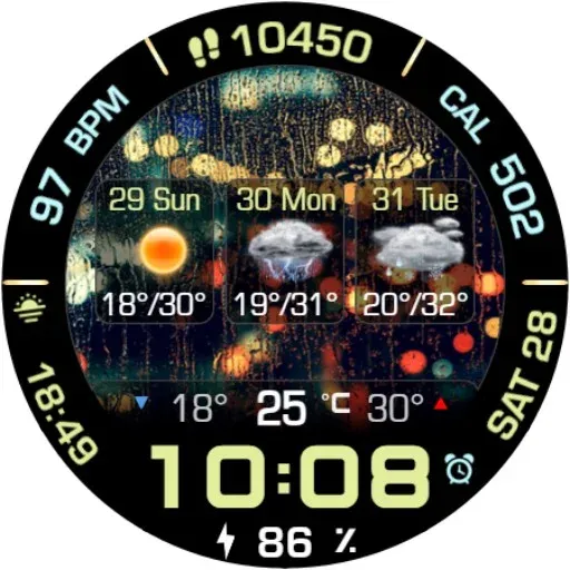 Animated Weather 3 Days Data screenshot 17
