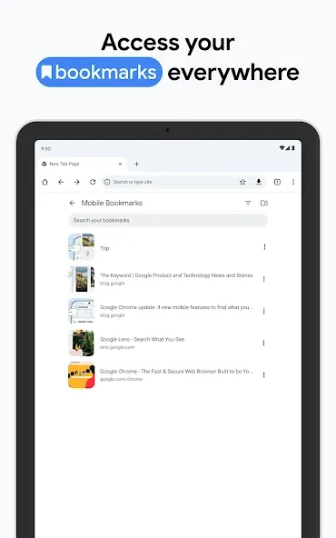 Chrome Beta screenshot 24