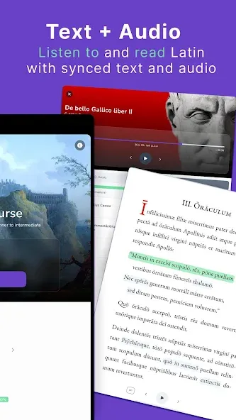 Legentibus: Learn Latin screenshot 10