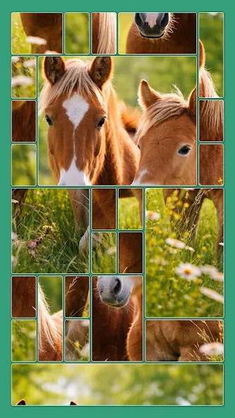 Cardscapes™: Jigsaw Puzzle screenshot 5