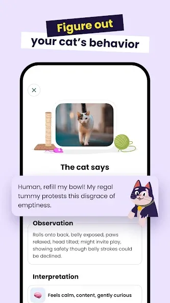 Meowz: Cat Training & Pet care screenshot 3
