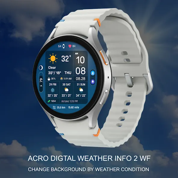 ACRO Digital Weather info2 WF screenshot 3