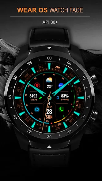 WFP 323 Analog Watch Face screenshot 7