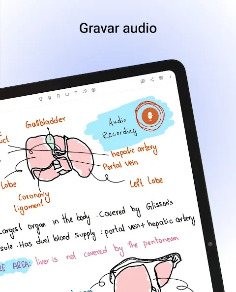 Noteshelf: Notas Digitais screenshot 9