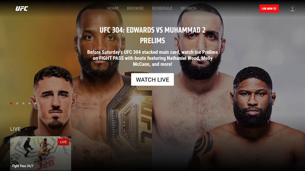 UFC screenshot 19