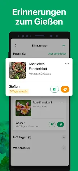 PictureThis:Pflanzen bestimmen screenshot 5