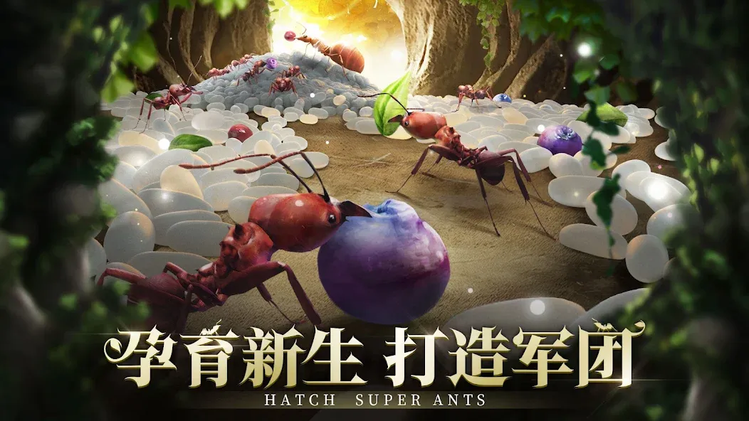 小小蚁国 screenshot 21