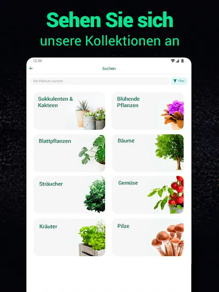 Plantum - Pflanzen bestimmen screenshot 14