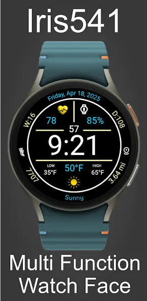 Digital Weather Watch Iris541 screenshot 1