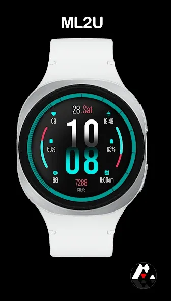 ML2U 399 Digital Hybrid screenshot 1