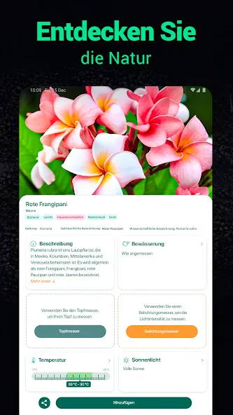 Plantum - Pflanzen bestimmen screenshot 28