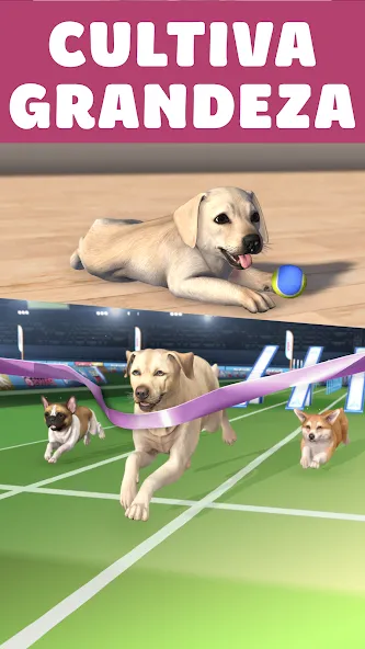 Pocket Paws: perros adorables screenshot 3