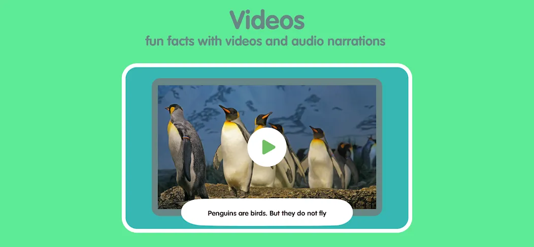 Learn Animals for Kids screenshot 7