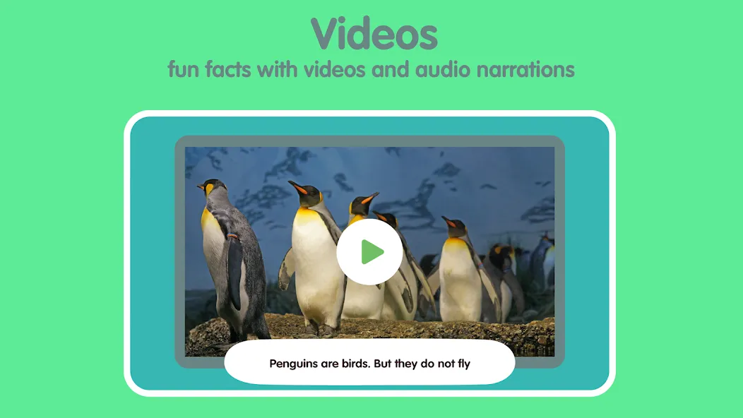 Learn Animals for Kids screenshot 15