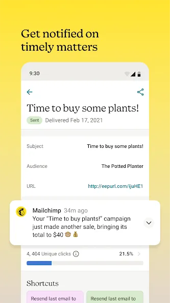 Mailchimp Email Marketing screenshot 6