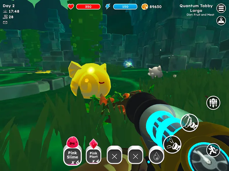 Slime Rancher screenshot 13